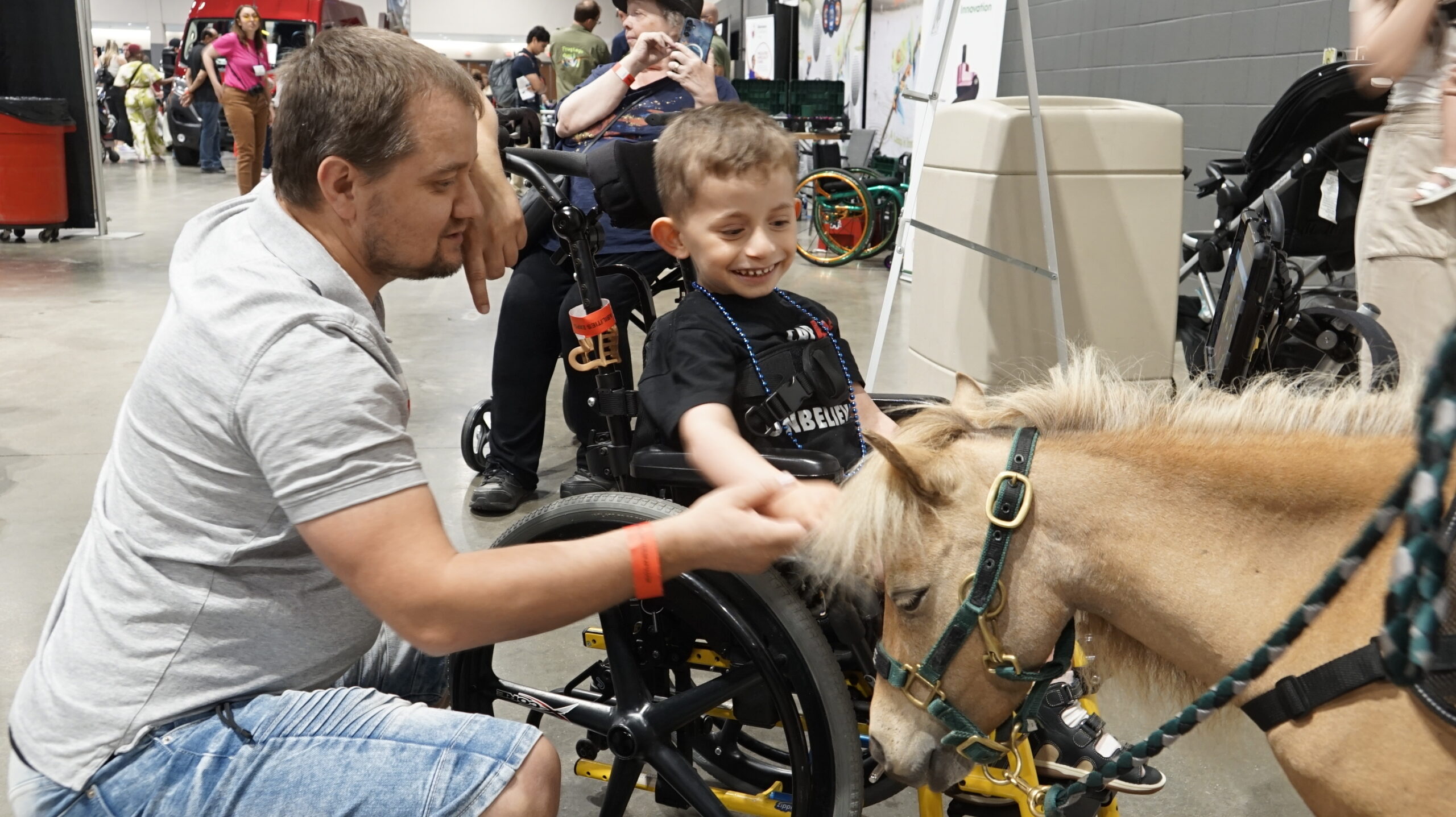 Come Meet Miniature Therapy Horses!