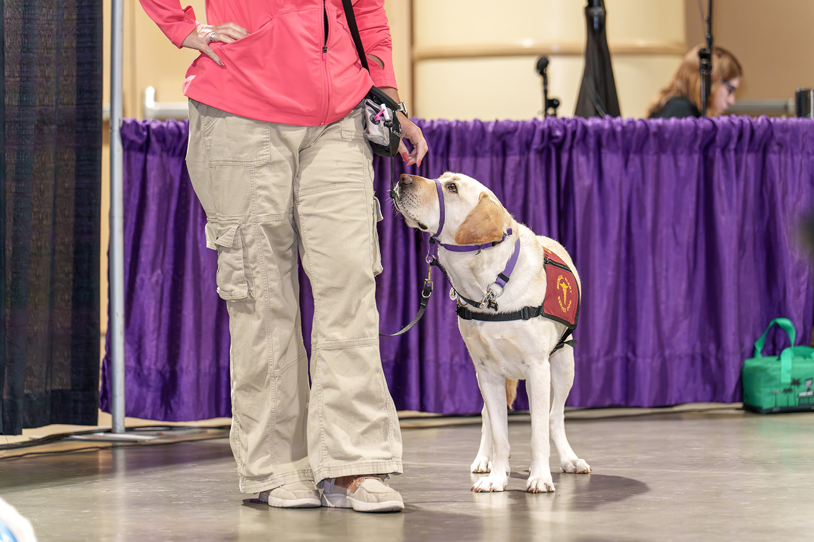 All About Service Dogs