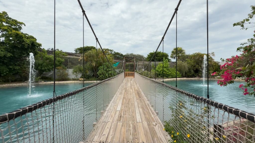Wheelchair accessible wooden bridge in Butterfly World