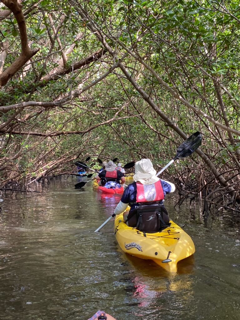 Veterans kayak through the mangrove preserve at West Lake Park in Hollywood.