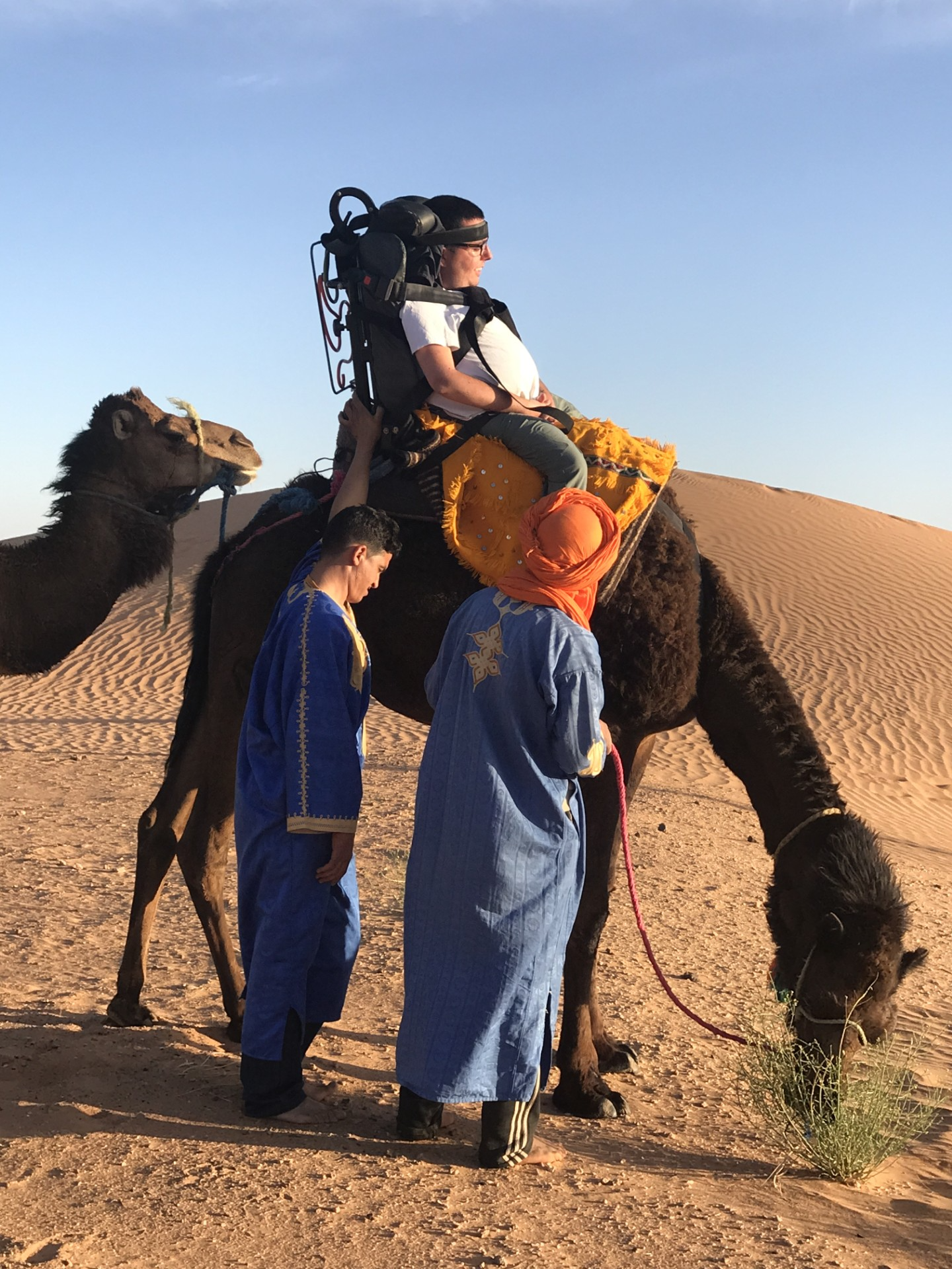 Access the World: Tip for Planning Accessible Adventures as a Wheelchair User