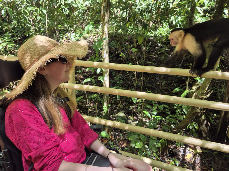 Woman who is using a wheelchair is face to face with a small monkey in the jungle. 