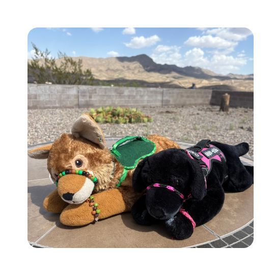 A photo of two Emotional Support Stuffed Animals (ESSA) saying side by side. The animal on the left is a tan wolf with a green harness. The animal on that right is a black labrador puppy with a pink harness.