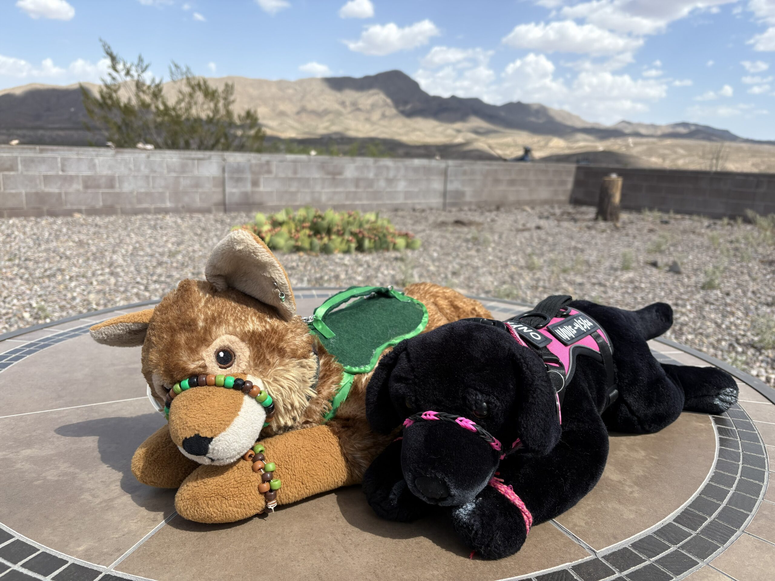 Build Your Own Emotional Support Stuffy