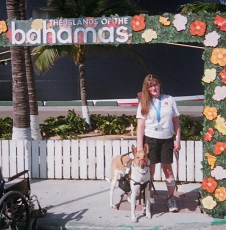Cruising Canines: My Personal Experience & Professional Tips