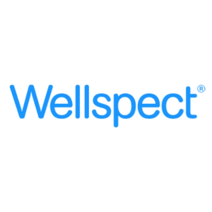 wellspect logo, the words "wellspect" written in blue